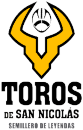 team logo